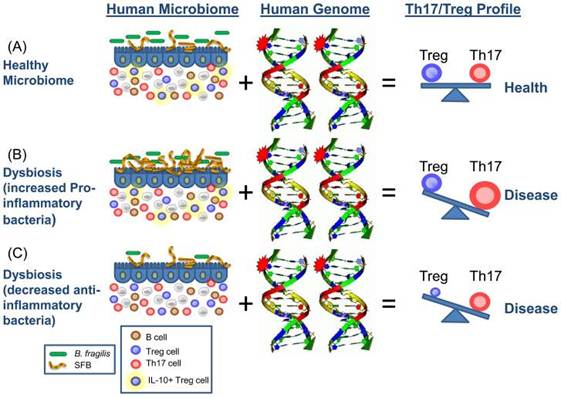 1501220455850358.jpg 14.jpg