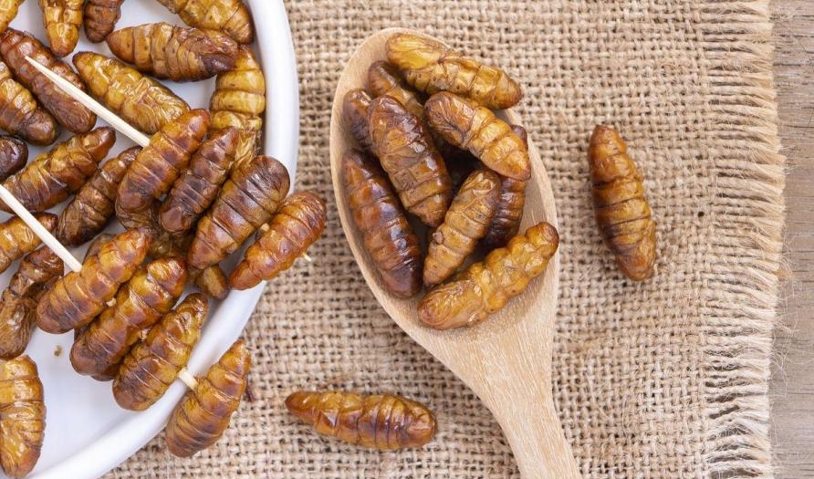 1722322618601658.jpeg 3.jpeg